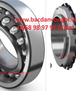 Vòng bi bạc đạn ổ bi cầu nhào hai dãy lỗ côn + Măng xông