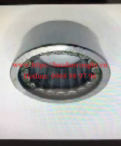 Vòng bi, bạc đạn, ổ bi Nhật AG502801